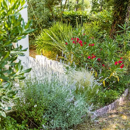 Tatil Evi Les Narcisses By Interhome *